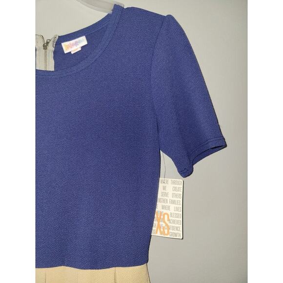 LulaRoe Amelia Womens XS Fit Flare Back Zip Colorblock Short Sleeve Knee Dress - Picture 4 of 15